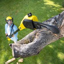 Best Lawn Watering Services  in Lake Delton, WI